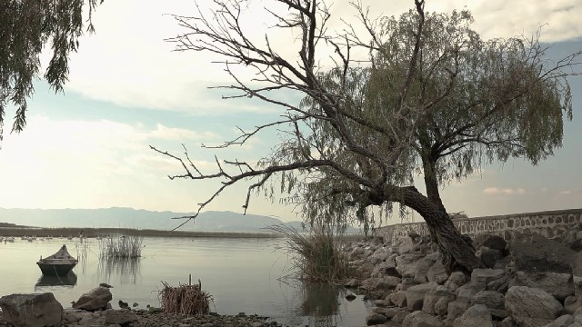 Portafolio de video para Rurales Martín Martínez